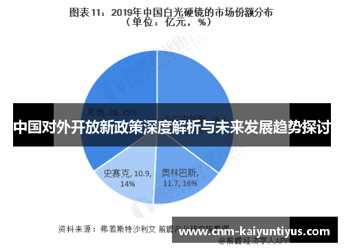 中国对外开放新政策深度解析与未来发展趋势探讨