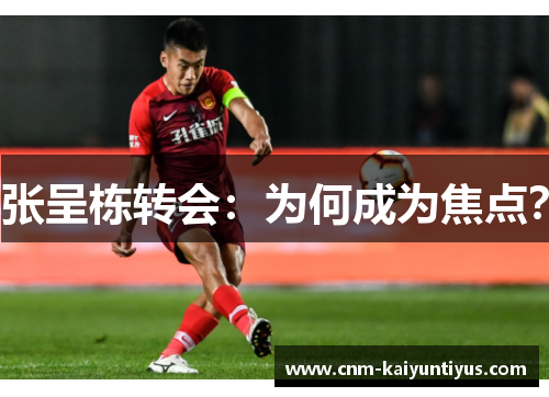 张呈栋转会：为何成为焦点？