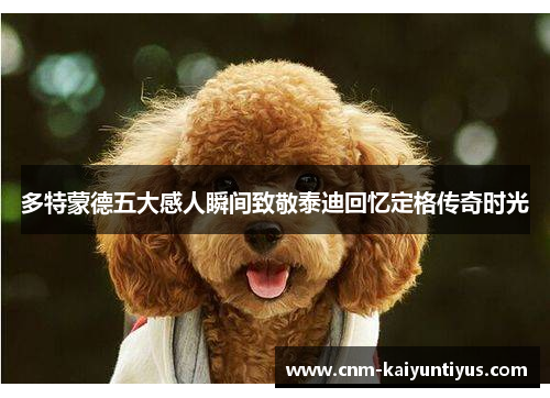 多特蒙德五大感人瞬间致敬泰迪回忆定格传奇时光