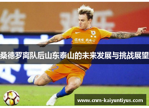 桑德罗离队后山东泰山的未来发展与挑战展望