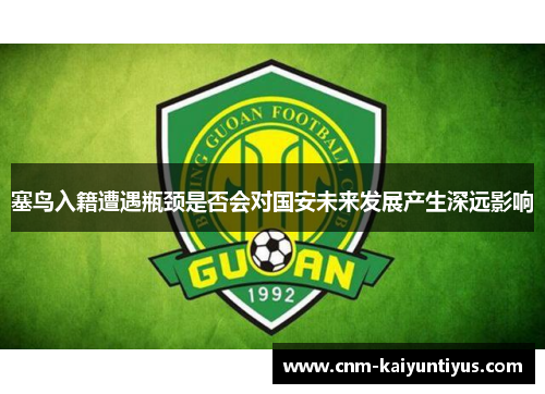 塞鸟入籍遭遇瓶颈是否会对国安未来发展产生深远影响