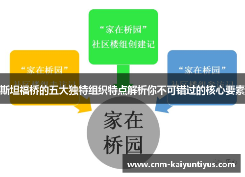 斯坦福桥的五大独特组织特点解析你不可错过的核心要素