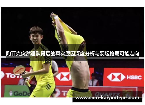陶菲克突然退队背后的真实原因深度分析与羽坛格局可能走向