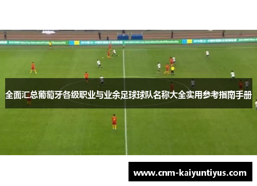 全面汇总葡萄牙各级职业与业余足球球队名称大全实用参考指南手册