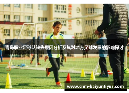 青岛职业足球队缺失原因分析及其对地方足球发展的影响探讨