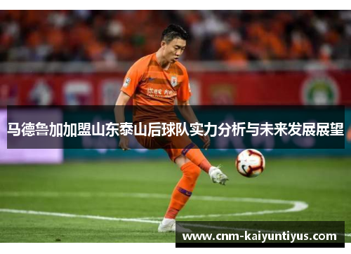 马德鲁加加盟山东泰山后球队实力分析与未来发展展望